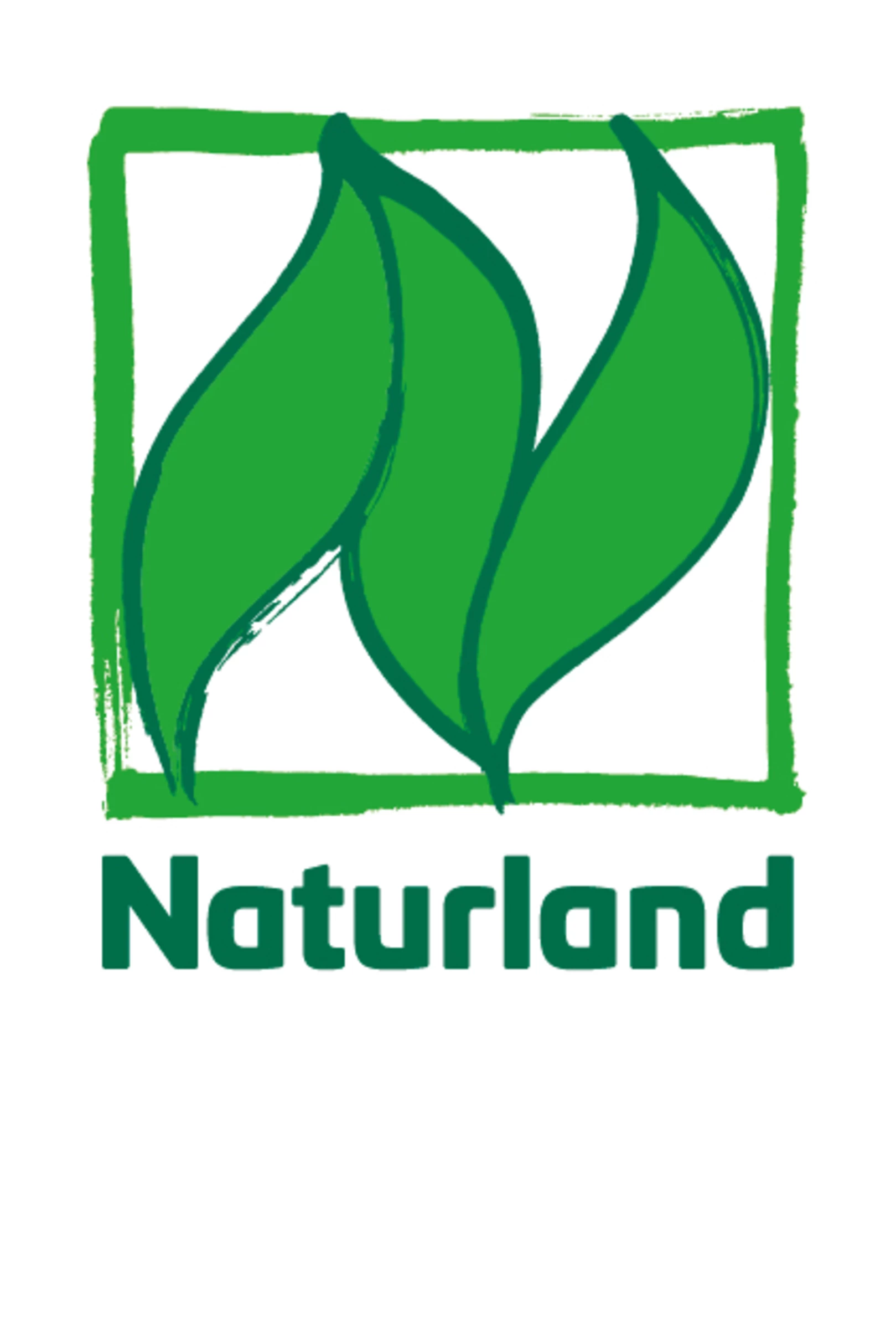 Alnatura Bio Hirse Feinkörnig 4 Alnatura Bio Hirse Feinkörnig – Bild 2