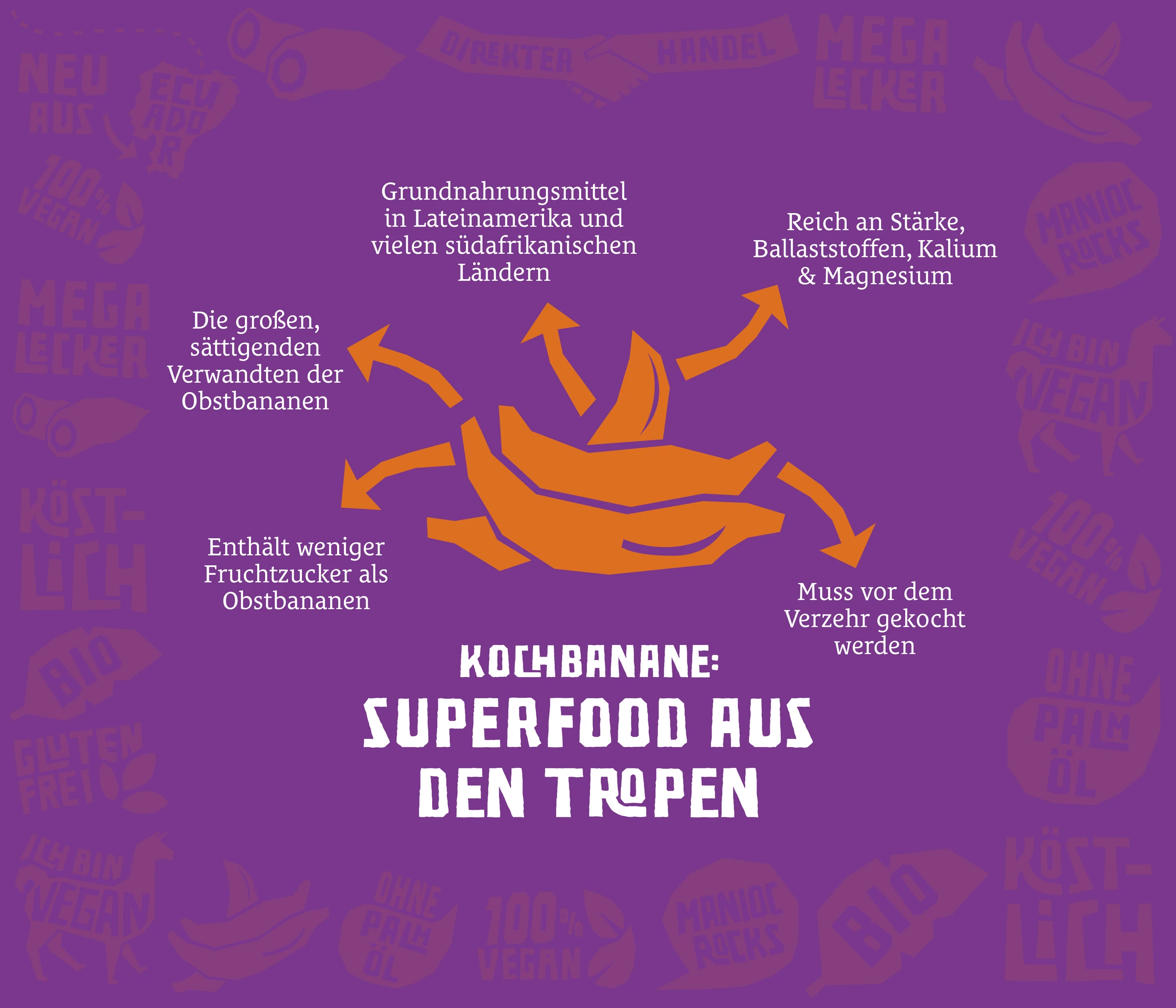 El Origen Bio Kochbananen Chips Mit Paprika 8 El Origen Bio Kochbananen Chips Mit Paprika – Bild 6