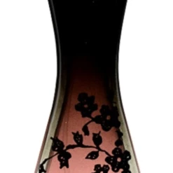 Christina Aguilera By Night, EdP 30 Ml